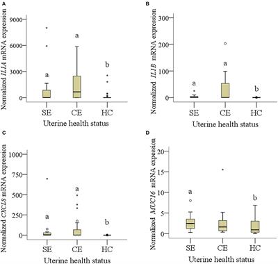 Messenger RNA Expression of Selected Factors at Different Sites of the Bovine Endometrium Associated With Uterine Health